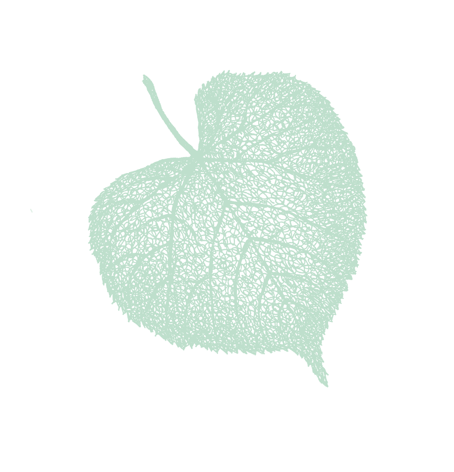 groen blad lindezorg