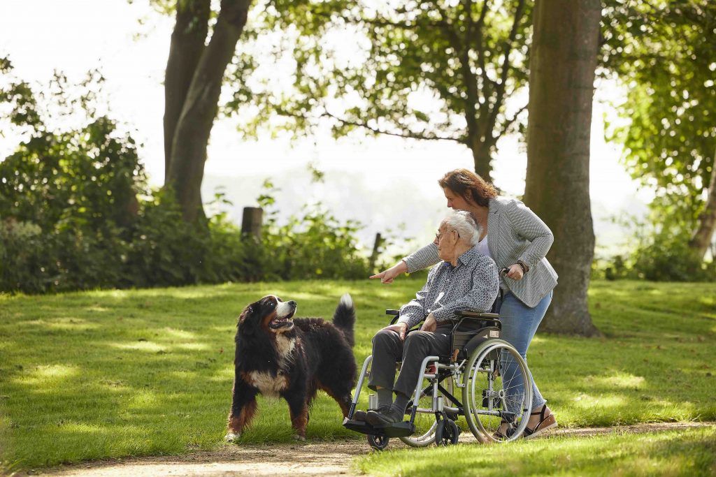 Wandeling door groene omgeving met rolstoel en hond